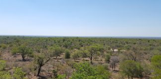 Parcurile SAN: Obiective turistice Africa de Sud – Insula Thesens Parcurile SAN