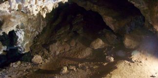 Pesterile Sterkfontein