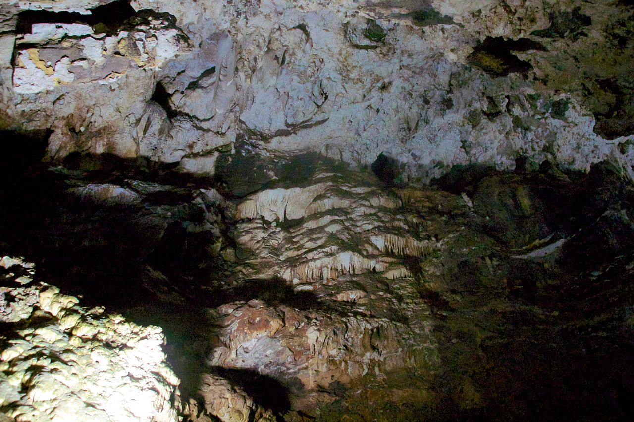 Pesterile Sterkfontein111