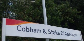 Pădurea Cobham State: Obiective turistice Africa de Sud – KwaZulu-Natal Pădurea Cobham State