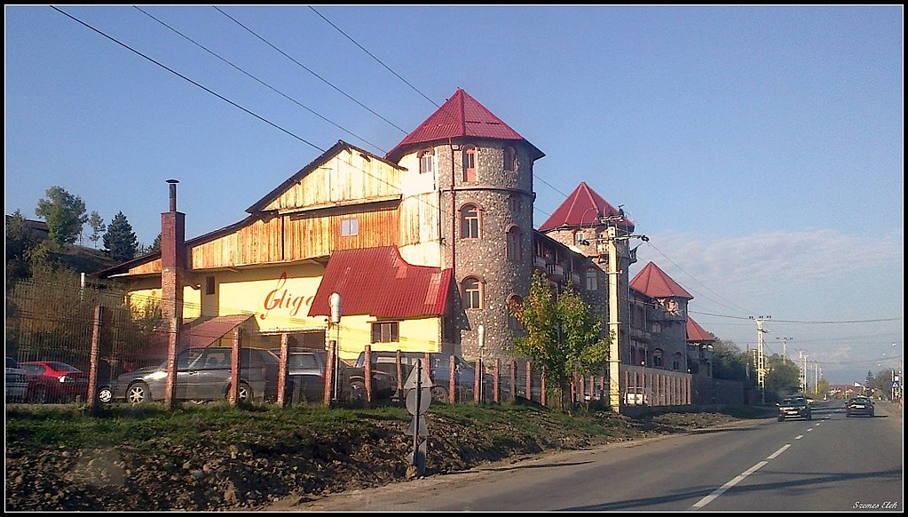 Reghin1