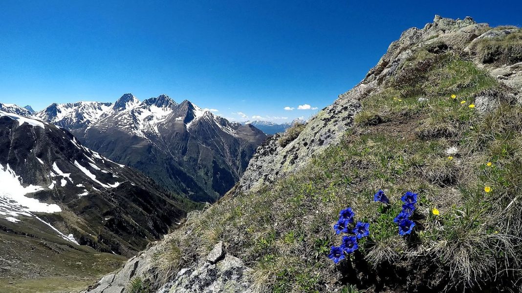 Regiunea Tyrol Regiunea Tyrol