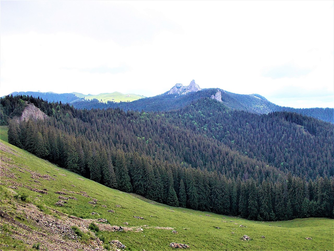 Rezervația naturală Pietrele Doamnei