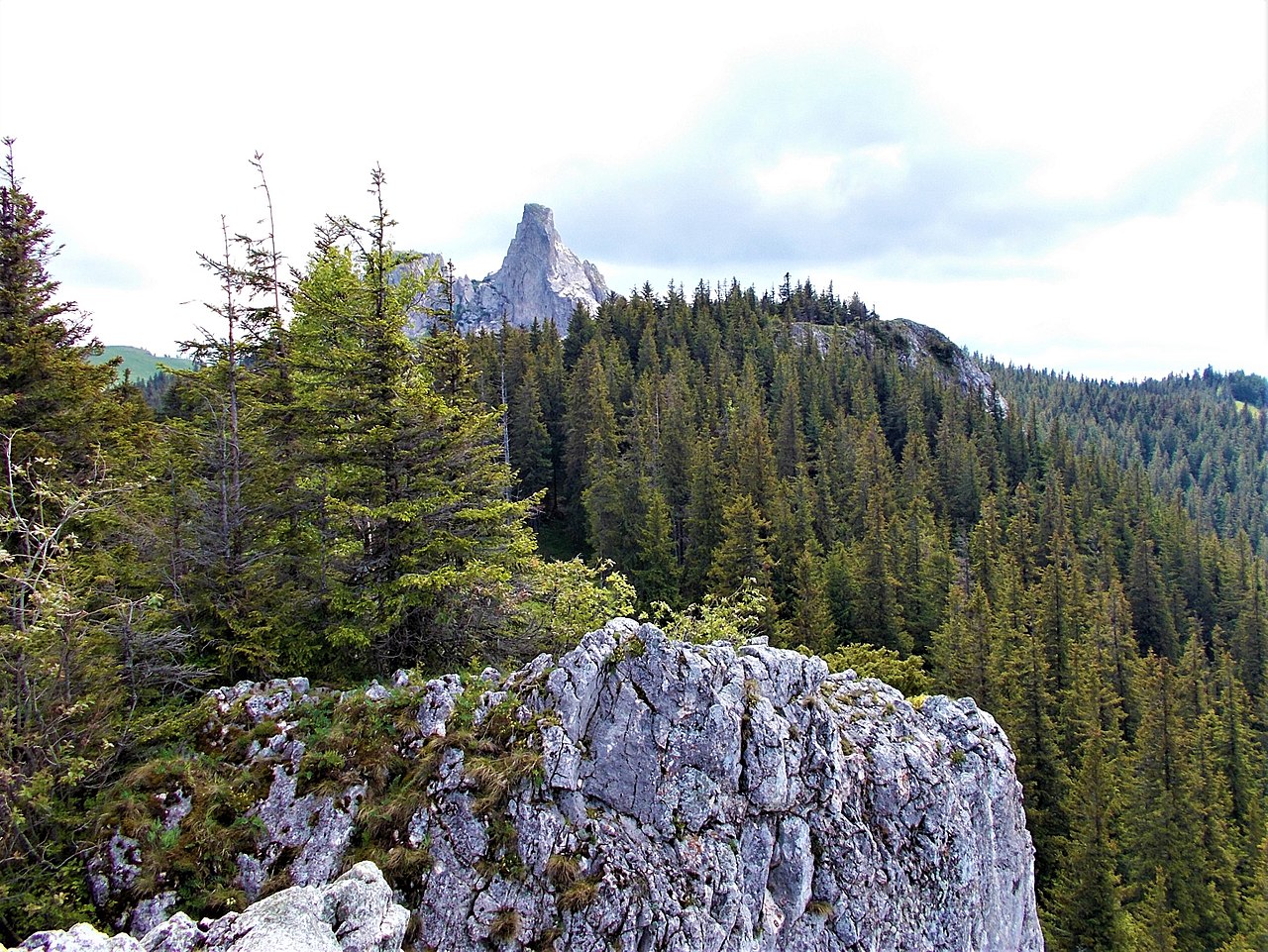 Rezervația naturală Pietrele Doamnei1