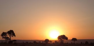 Rezervatia Nationala Masai Mara: Obiective turistice Kenya – Masai Mara Rezervatia Nationala Masai Mara