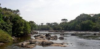 Rezervatia Okapi: Obiective turistice Republica Democrata Congo – Wamba Rezervatia Okapi