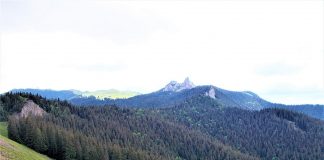 Rezervația naturală Pietrele Doamnei