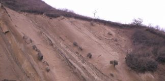 Rezervația naturală Râpa cu Păpuși