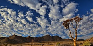 Richtersveld Transfrontier Park