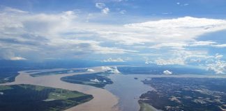 Rezervatia Padurea Rio Negro: Obiective turistice Brazilia – Raul Amazon Rio Negro