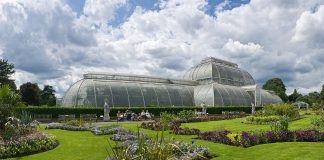 Royal Botanical Gardens: Obiective turistice Anglia – Londra Royal Botanical Gardens