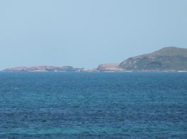 Saint Alaourn