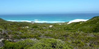 Rezervația naturală Salmonsdam: Obiective turistice Africa de Sud – Stanford Salmonsdam