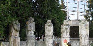 Sfatul Bătrânilor din Baia Mare