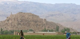 Shahr-e Gholghola: Obiective turistice Afganistan – Bamiyan Shahr-e Gholghola