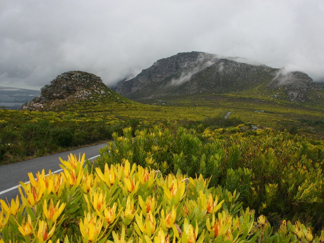 Silvermine Silvermine