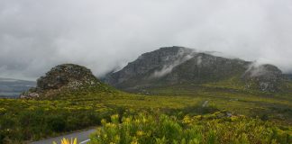 Rezervația naturală Silvermine: Obiective turistice Africa de Sud – Muizenberg Silvermine