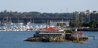 Snapper island