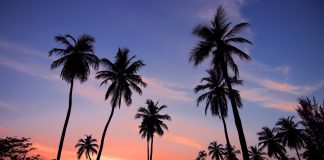 Sri Lanka : Țări de vizitat Sri Lanka