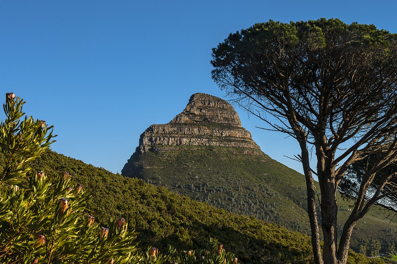 Table Mountain11