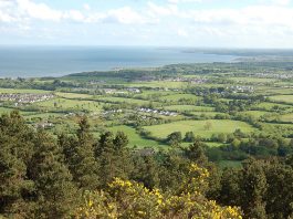 Tara Hill