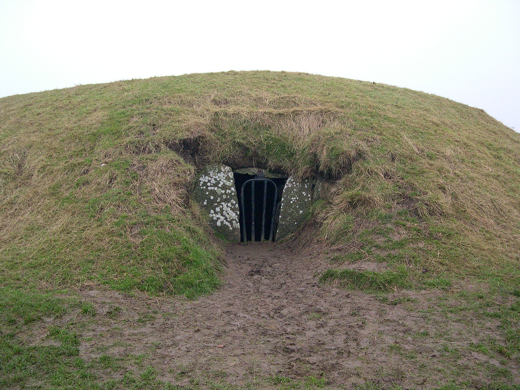 Tara Hill1
