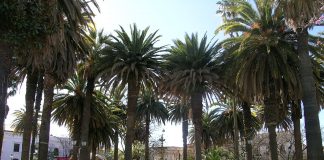 Orasul Tarija: Obiective turistice Bolivia – Tarija Tarija