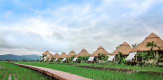 Thailanda : Țări de vizitat Thailanda