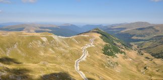 Transalpina