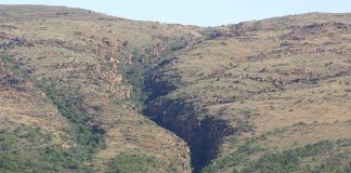 Rezervația Naturală Tsolwana: Obiective turistice Africa de Sud – Tentergate Tsolwana