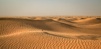 Tunisia : Țări de vizitat Tunisia