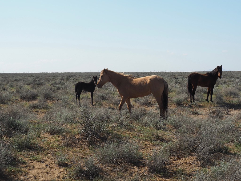 Turkmenistan Turkmenistan