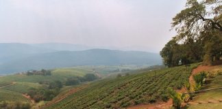 Muzeul Tzaneen: Obiective turistice Africa de Sud – Tzaneen Tzaneen