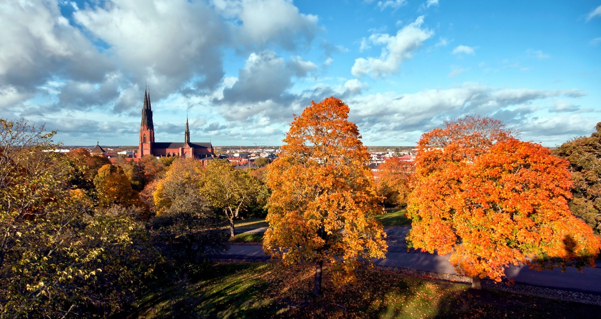 Uppsala11