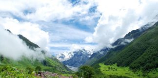 Valea Florilor: Obiective turistice India – Varful Nanda Devi Valea Florilor