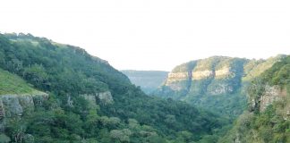 Rezervața naturală Valea Umgeni: Obiective turistice Africa de Sud – Howick Valea Umgeni