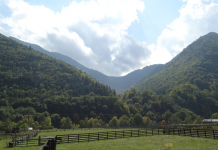 Vrancea : De vizitat în România Vrancea
