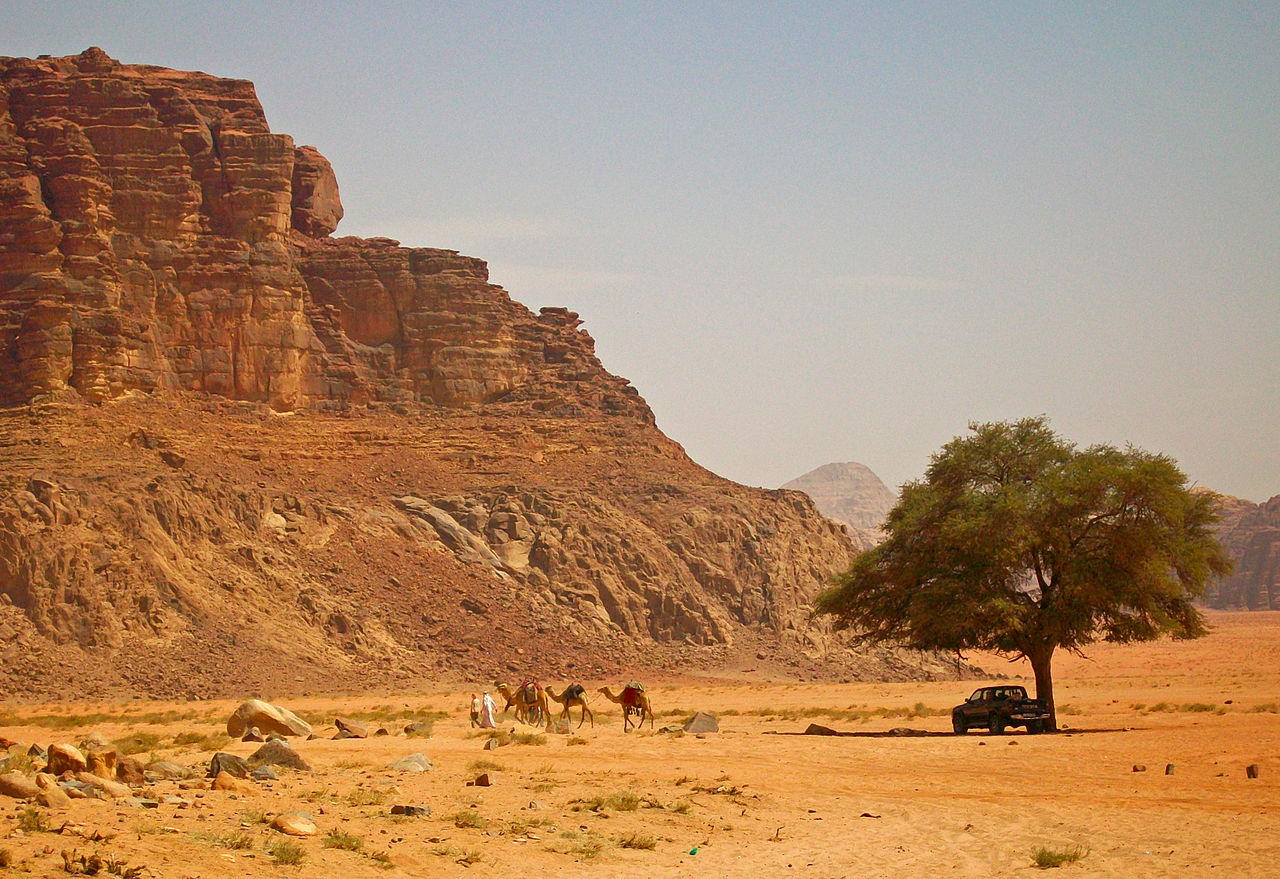 Wadi Rum1