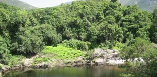 Parcul Național Wilderness: Obiective turistice Africa de Sud – Wilderness Wilderness