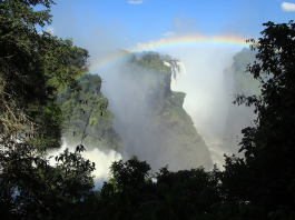 Zimbabwe