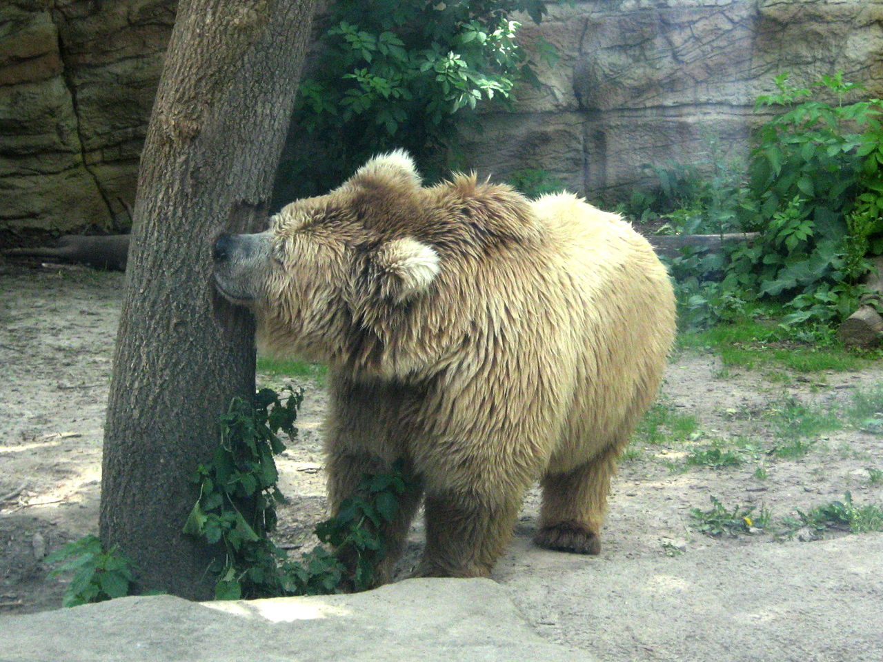 Zoo Kiev11
