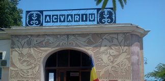acvariul-din-constanta-judetul-constanta