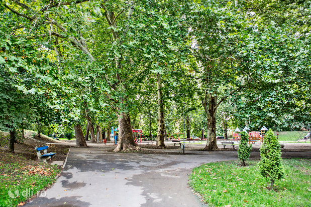 alee-amenajata-in-gradina-romei-din-satu-mare.jpg