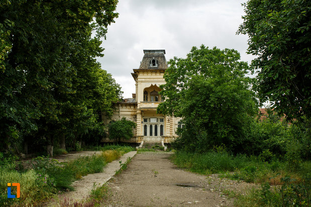 alee-ce-duce-la-casa-vianu-din-odobesti-judetul-vrancea.jpg