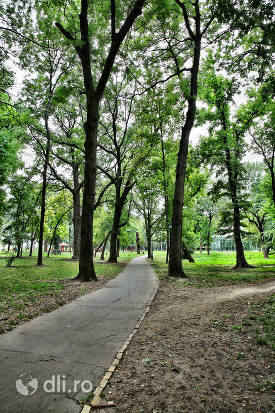 alee-cu-copaci-din-parcul-dendrologic-carei.jpg