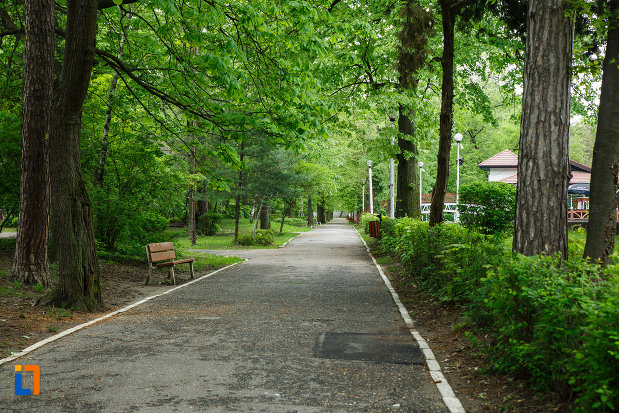 alee-cu-copaci-din-parcul-zavoi-din-ramnicu-valcea-judetul-valcea.jpg