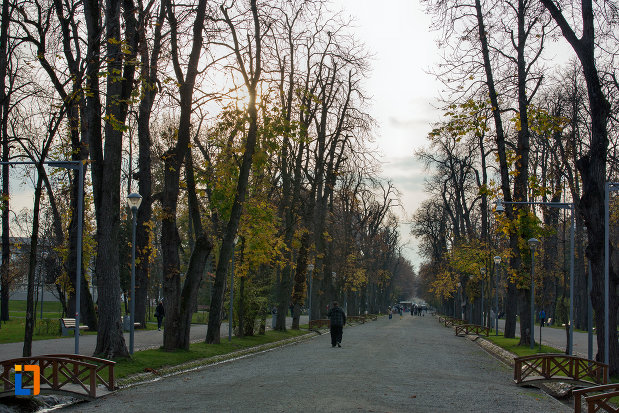 alee-cu-copaci-parcul-central-simion-barnitiu-din-cluj-napoca-judetul-cluj.jpg