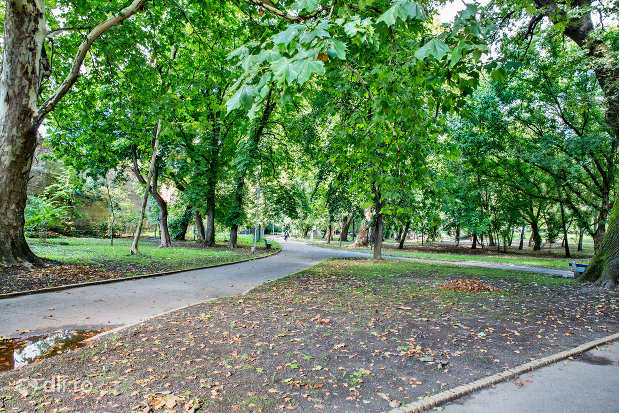 alee-de-plimbare-gradina-romei-din-satu-mare.jpg