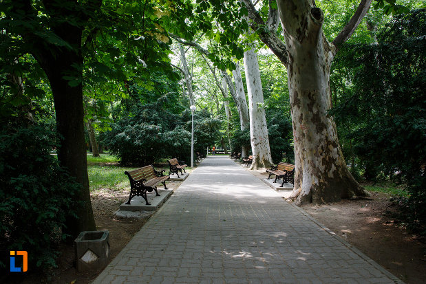 alee-din-aansamblul-de-arhitectura-balneara-din-buzias-judetul-timis.jpg