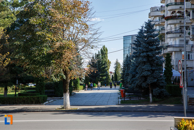 alee-din-orasul-campina-judetul-prahova.jpg
